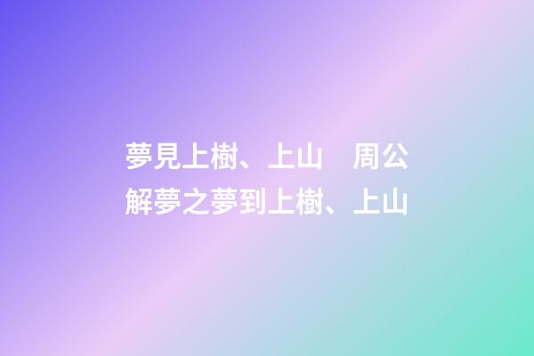 夢見上樹、上山　周公解夢之夢到上樹、上山